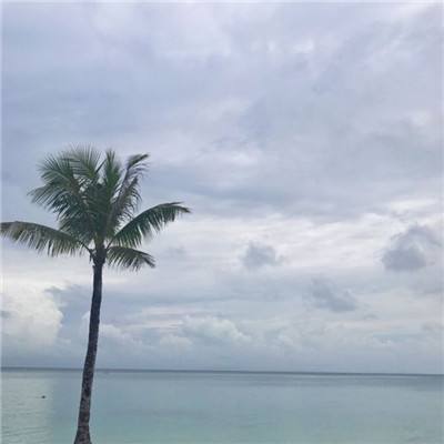 乐鱼app官网正式版下载app下载截图